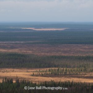 Finland - Urho Kekkonen National Park